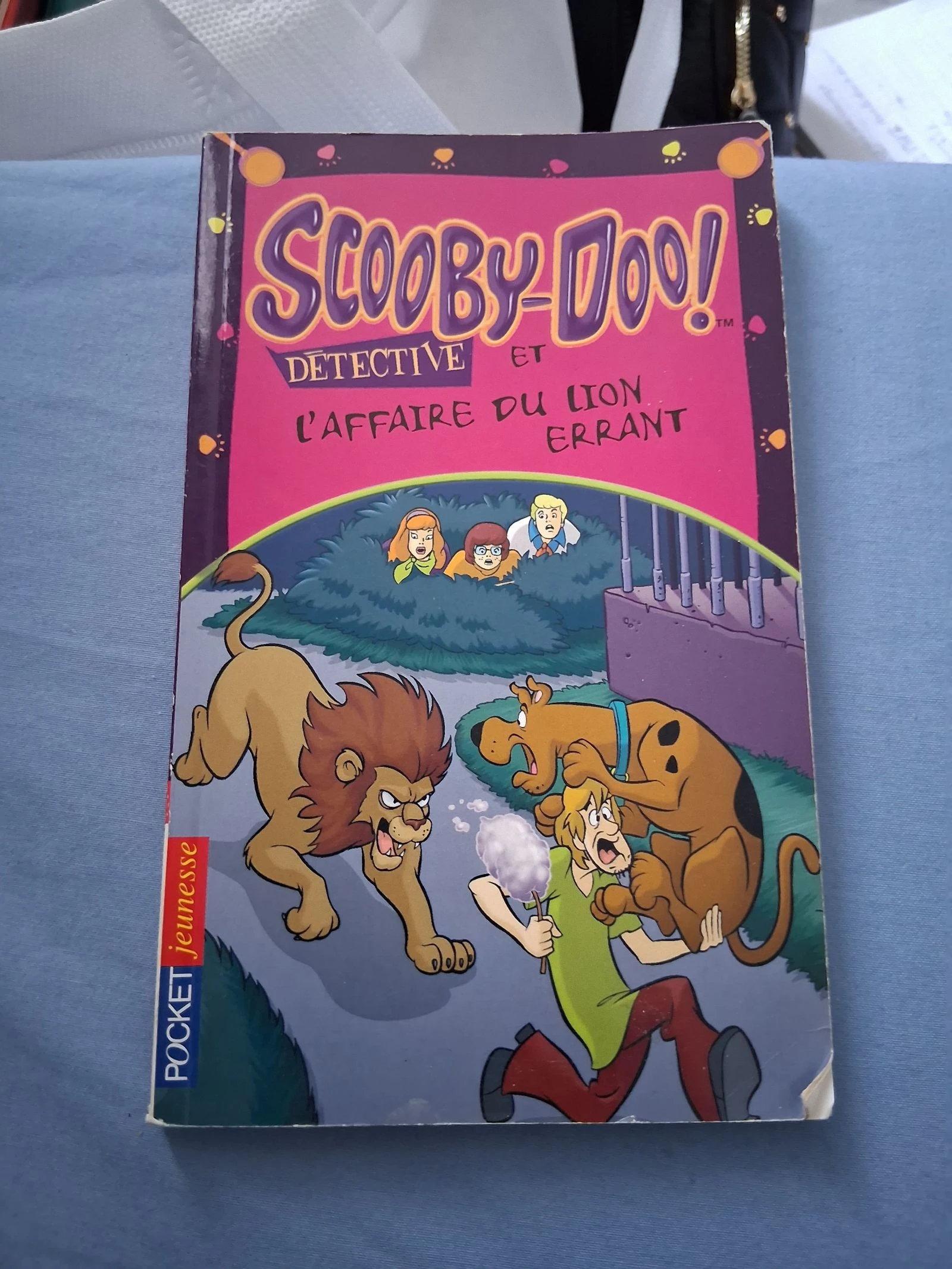 Livre scooby-doo et l'affaire du lion errant